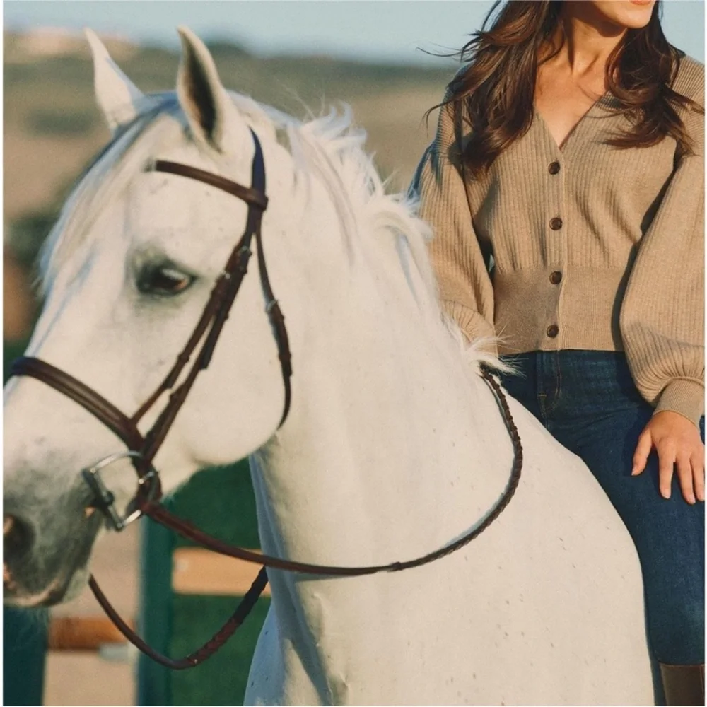 Solid Citizen Equestrian great pre
